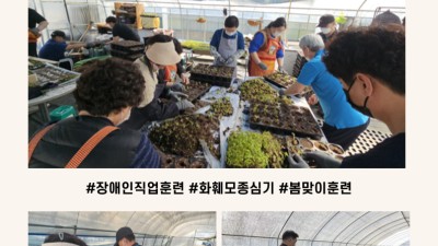 2025년 봄, 중증장애인 화훼 모종심기 훈련 시작