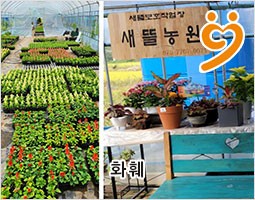 화훼